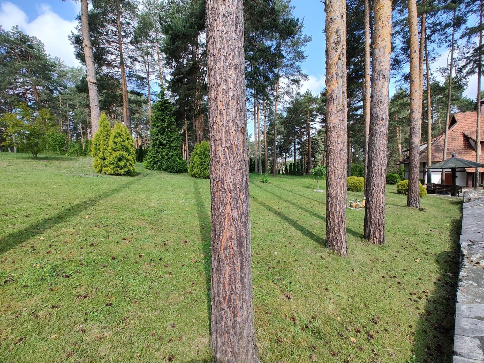 Velika Recepcija 29 Apartment Zlatibor